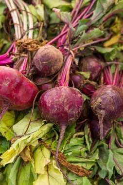 Yaz çiftçilere piyasa