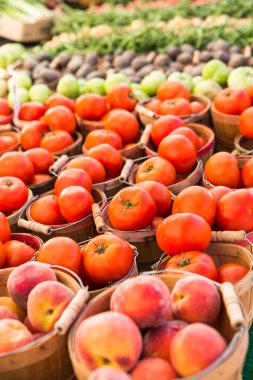 Yaz çiftçilere piyasa