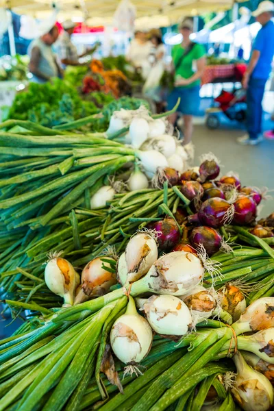 Marché d'été des agriculteurs — Photo