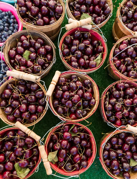 Summer Farmers market — Stock Photo, Image