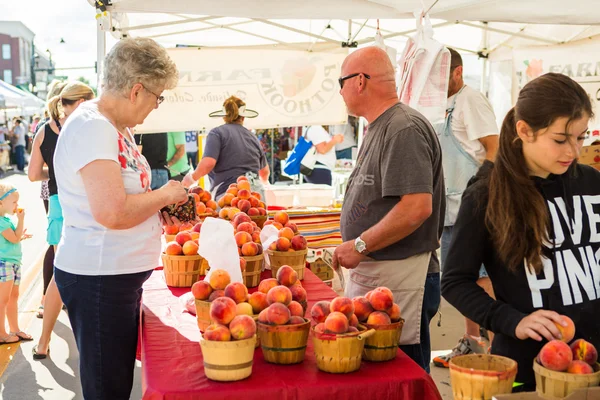 Sommar jordbrukarna marknaden — Stockfoto