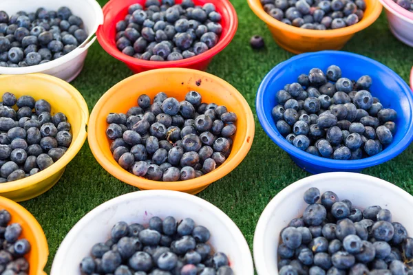 Arándanos en el mercado de agricultores — Foto de Stock