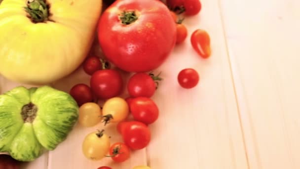 Tomates fraîchement cueillies 