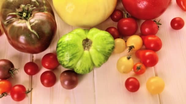 Vers geplukt erfstuk tomaten — Stockvideo