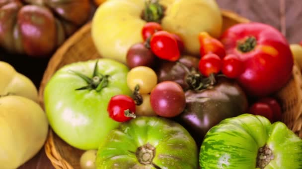 Tomates de relíquia recém-colhidos — Vídeo de Stock