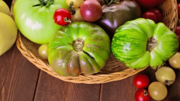 Freshly picked heirloom tomatoes — Stock Video