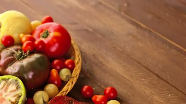 Freshly picked heirloom tomatoes — Stock Video