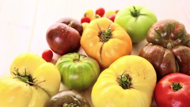 Freshly picked heirloom tomatoes — Stock Video