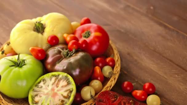 Tomates de la reliquia recién recogidos — Vídeo de stock