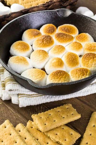 Smores βουτιά με μεγάλο marshmallows — Φωτογραφία Αρχείου