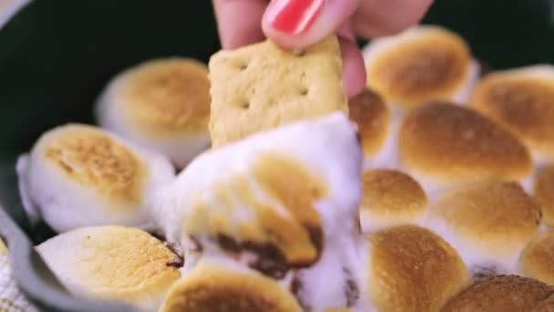 Smores duik en marshmallows — Stockvideo