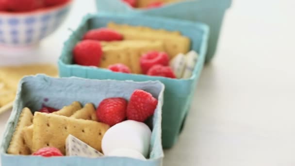 Smores with fresh raspberries. — Stock Video