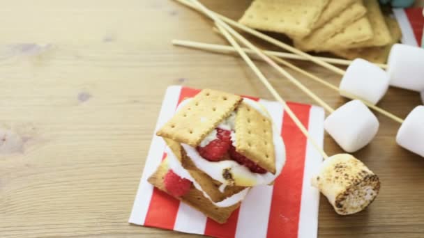 Smores with white chocolate — Stock Video