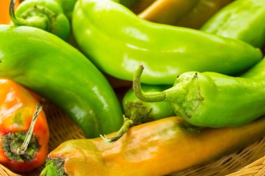 Organik biber yakın çekim