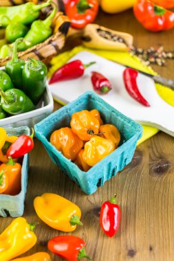 Masada organik biber