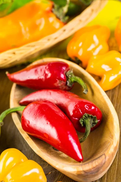 Utbud av färska ekologiska paprika — Stockfoto