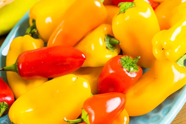 Masada organik biber