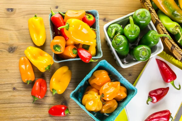 Masada organik biber