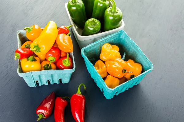 Masada organik biber