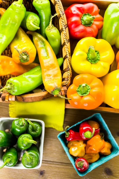 Masada organik biber