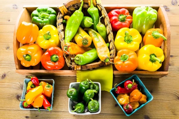 Masada organik biber