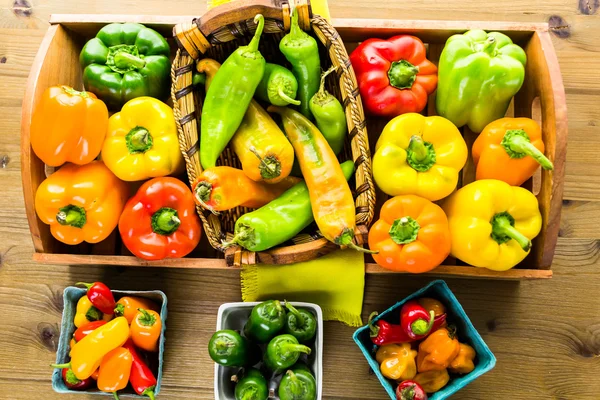 Masada organik biber