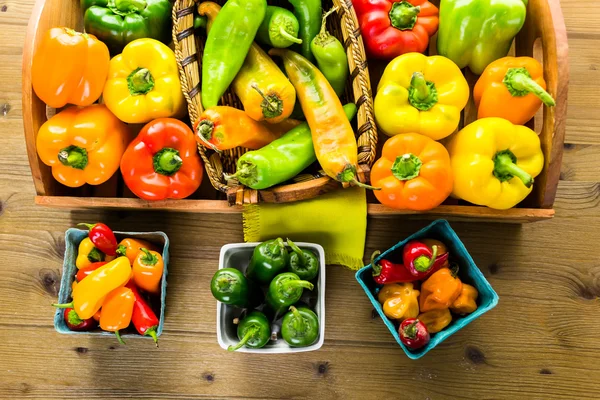 Masada organik biber