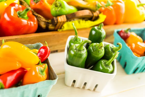 Masada organik biber