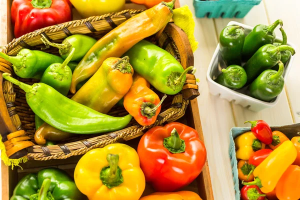 Masada organik biber