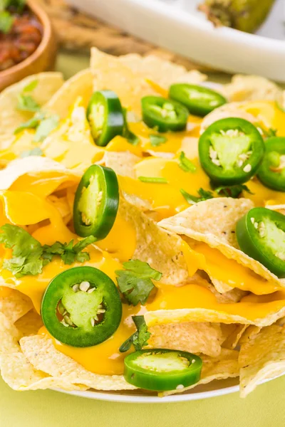 Vegetarisk nachos med tortillachips — Stockfoto