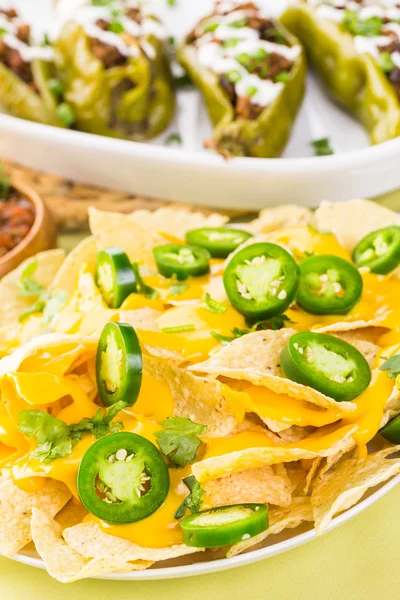 Nachos vegetarianos com lascas de tortilla — Fotografia de Stock