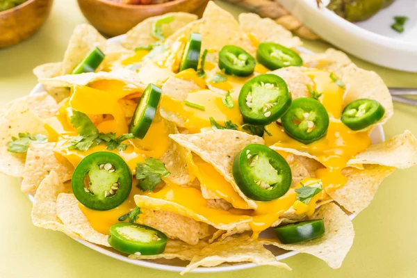 Nachos vegetarianos com lascas de tortilla — Fotografia de Stock