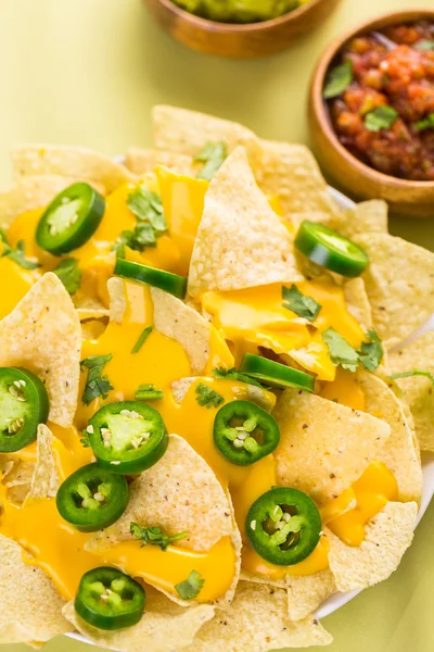 Nachos vegetarianos com lascas de tortilla — Fotografia de Stock