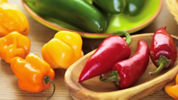 Organic peppers on the table — Stock Video