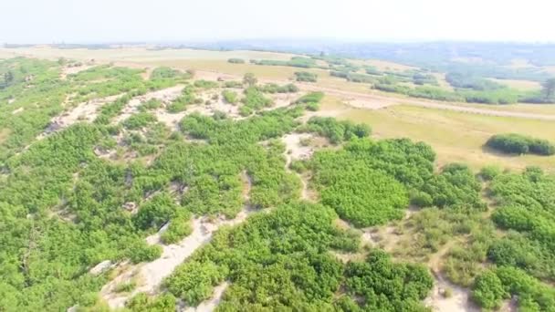 Вид на пригородный парк — стоковое видео