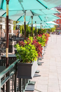 Yenilenmiş Union Station