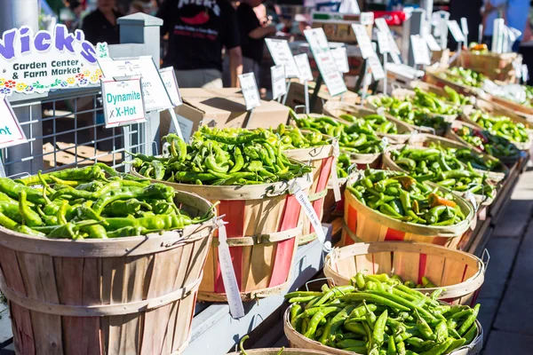 Grüne Chilischoten — Stockfoto