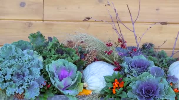 Çiftçi pazar sebze çeşitleri — Stok video