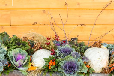 Pencere çiçek sepeti