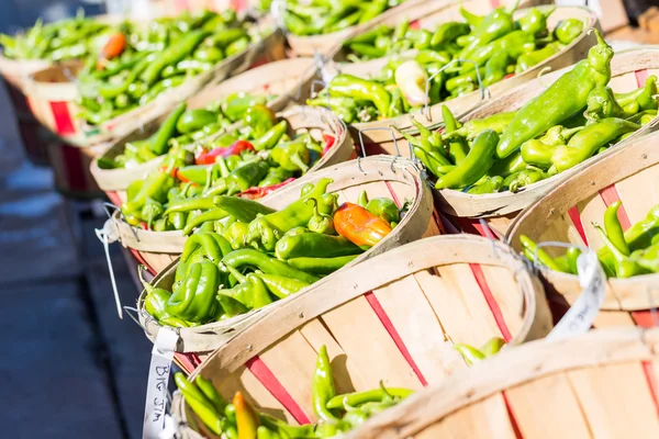 Green Chili peppers — Stock Photo, Image