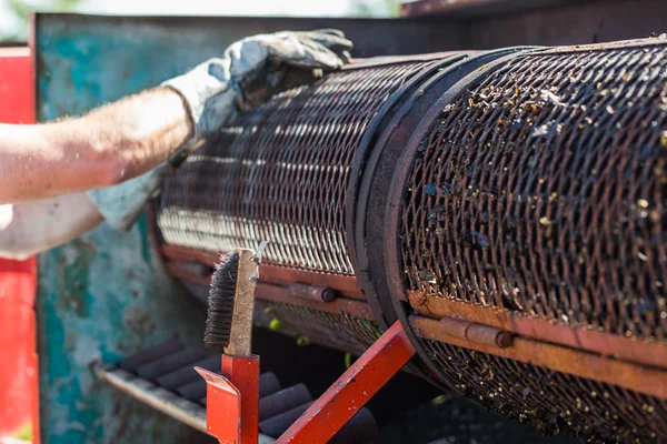 Chili Pepper Roaster — Stock Photo, Image