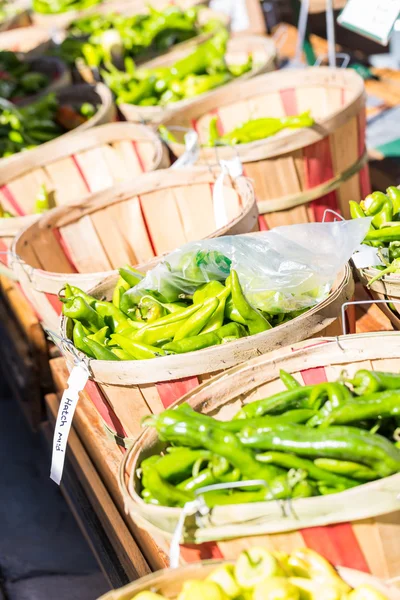 Chiles verdes — Foto de Stock