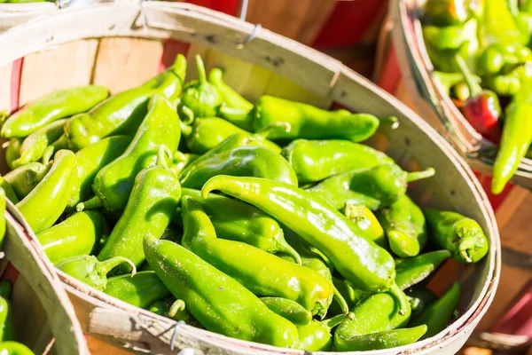 Green Chili peppers — Stock Photo, Image