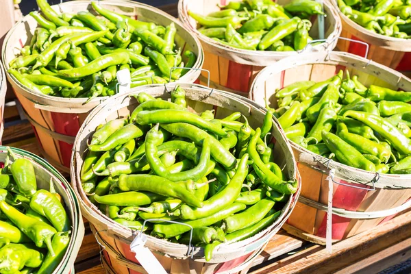 Zielona papryka chili — Zdjęcie stockowe