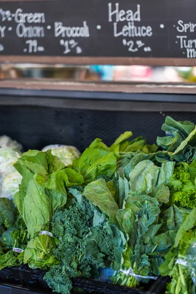 Fresh Organic greens — Stock Photo, Image