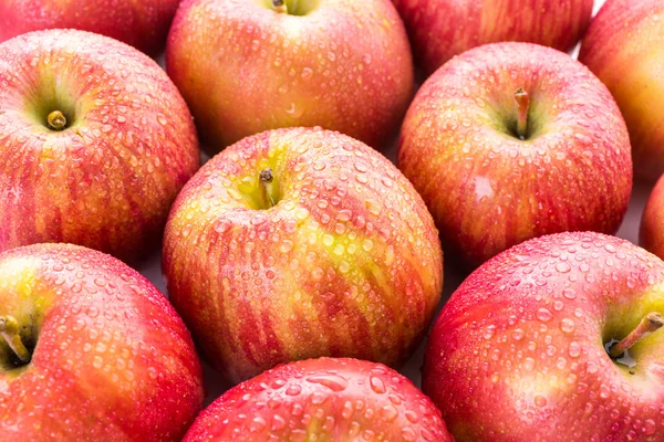 Fuji Manzanas ecológicas — Foto de Stock