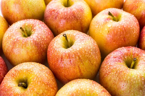 Manzanas de gala orgánicas — Foto de Stock