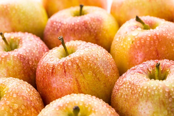 Органические яблоки Гала — стоковое фото