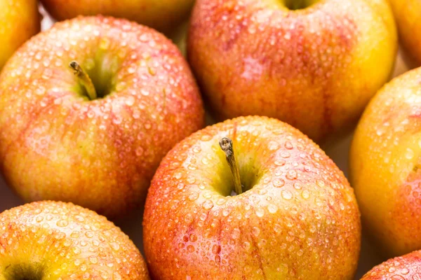 Manzanas de gala orgánicas — Foto de Stock