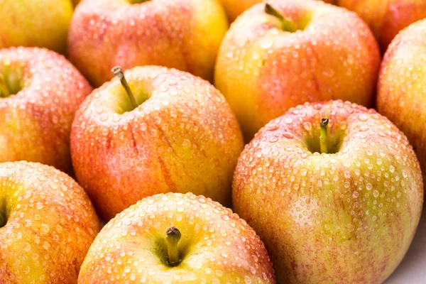 Manzanas de gala orgánicas — Foto de Stock
